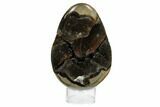 Septarian Dragon Egg Geode - Black Crystals #172800-1